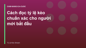 Read more about the article Cách đọc tỷ lệ kèo chuẩn xác cho người mới bắt đầu