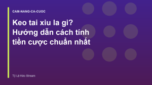 Read more about the article Keo tai xiu la gi? Hướng dẫn cách tính tiền cược chuẩn nhất